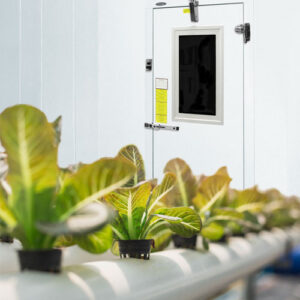 Create an ideal growth room for your agricultural application using Norlake Scientific environmental rooms.